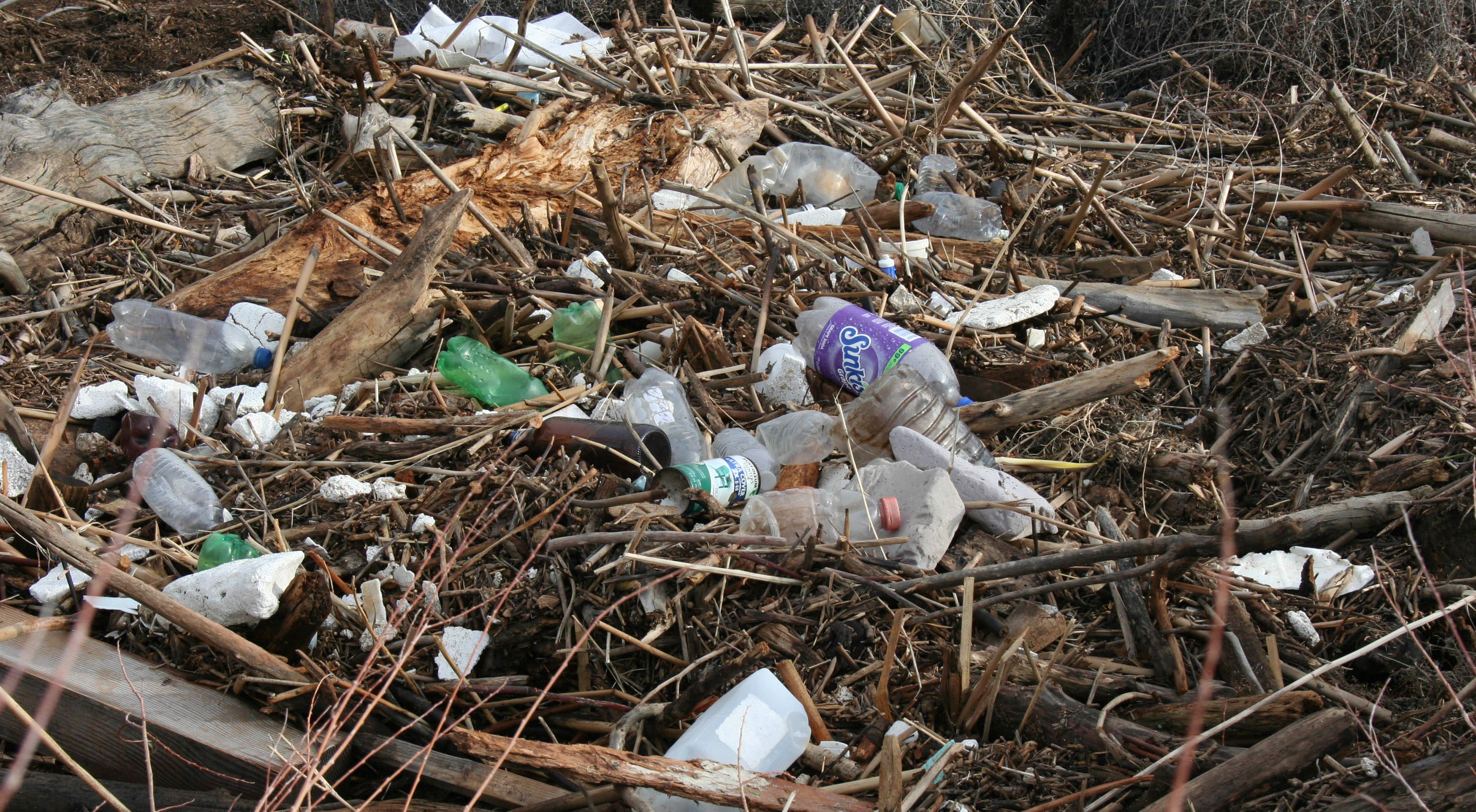 Promulgan en La Plata la ordenanza que obliga a grandes generadores de basura a separar y tratar sus residuos