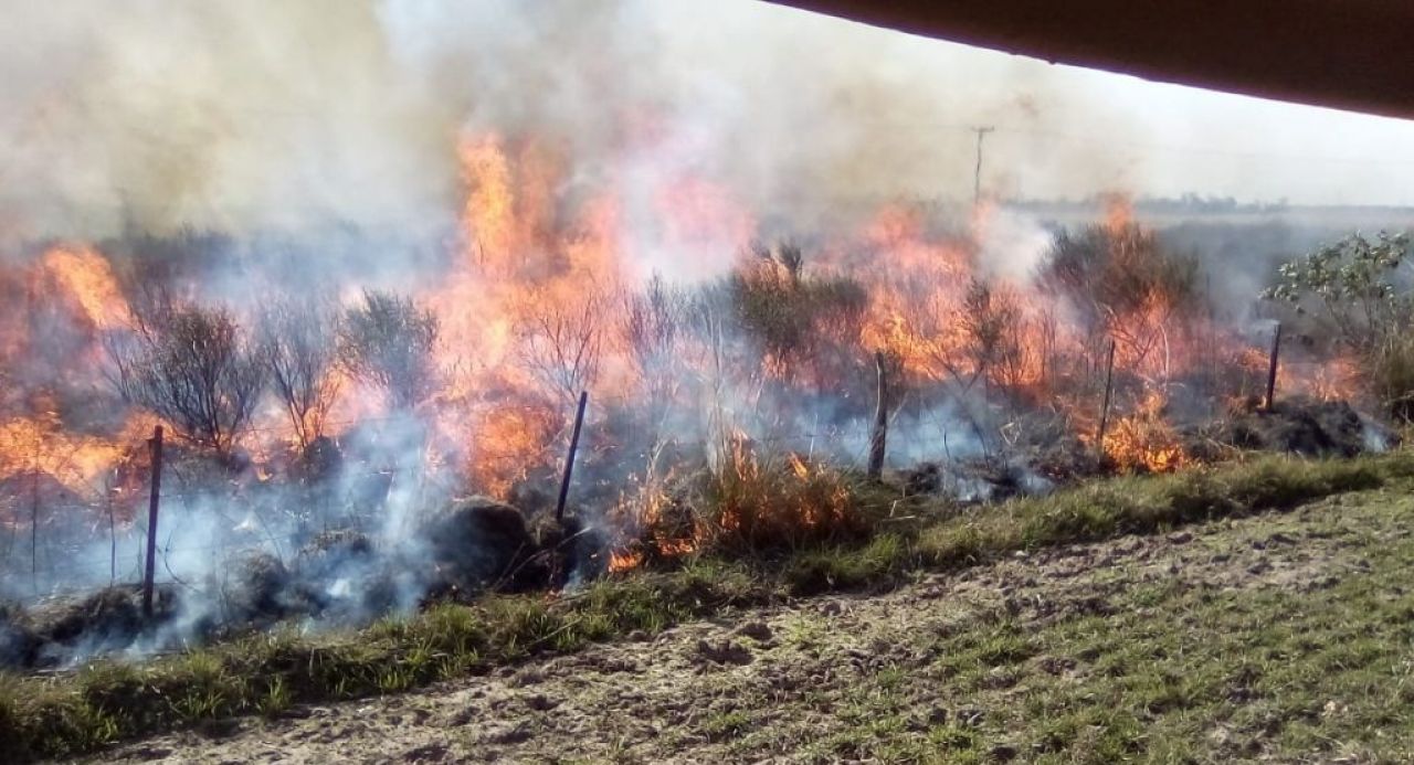Humo y olor a quemado en la Ciudad por los incendios en Corrientes