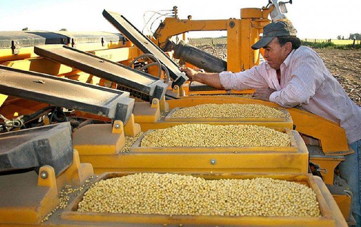 Expertos anticipan qué pasará con el precio de la soja